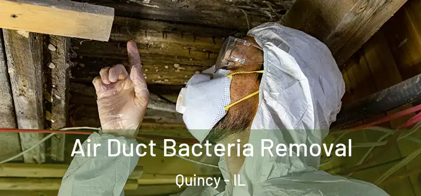 Air Duct Bacteria Removal Quincy - IL