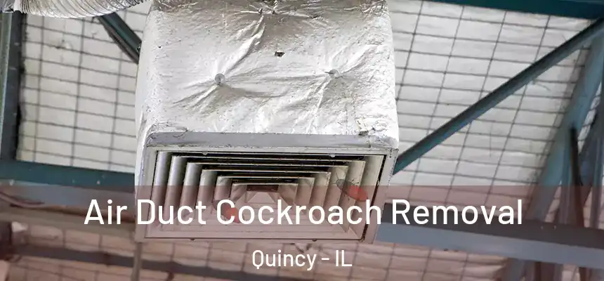Air Duct Cockroach Removal Quincy - IL
