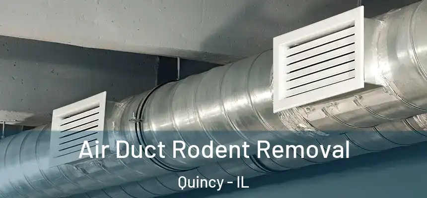 Air Duct Rodent Removal Quincy - IL
