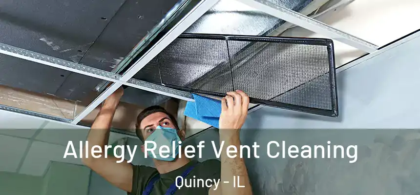 Allergy Relief Vent Cleaning Quincy - IL
