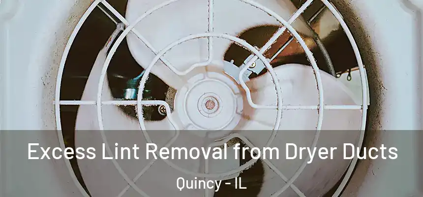 Excess Lint Removal from Dryer Ducts Quincy - IL