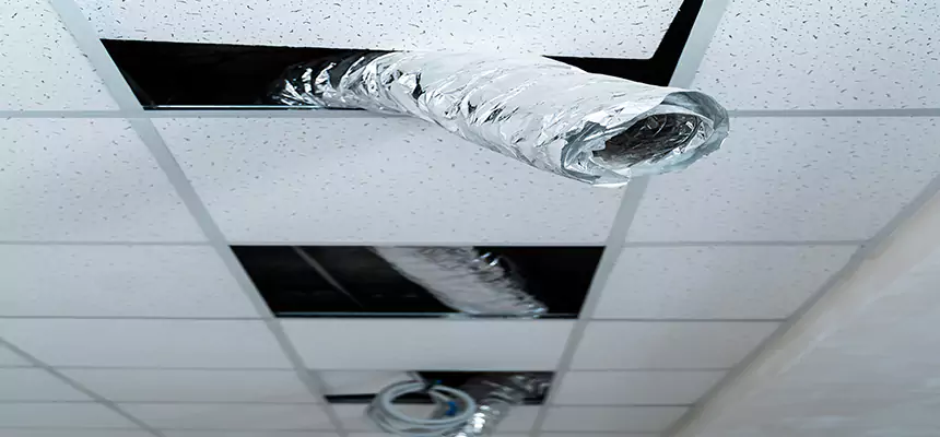 Our Air Duct Pet Hair Removal Services in Quincy, IL