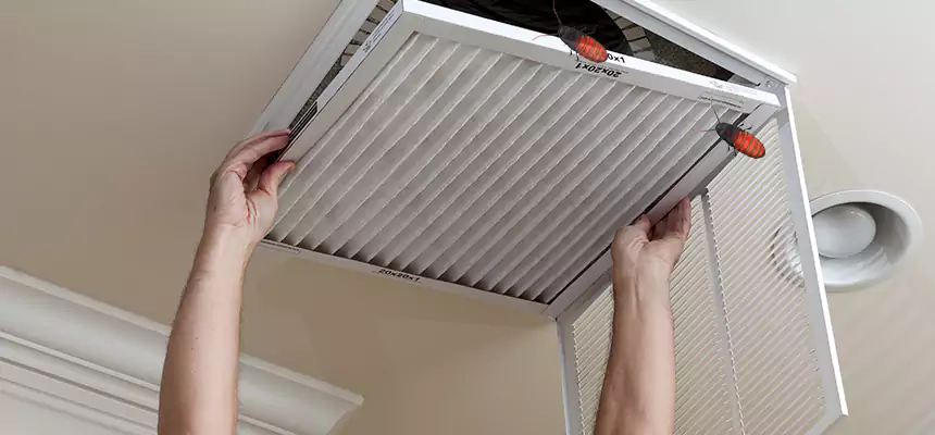Our Insect Removal from Air Ducts Services in Quincy, IL