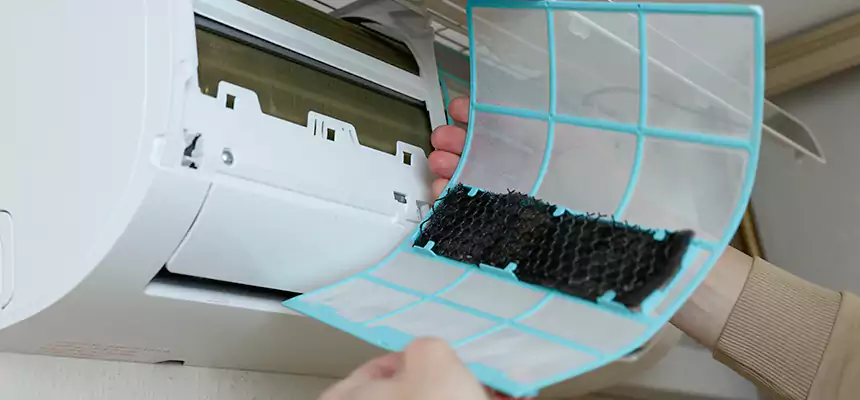 Gentle Ductwork Odor-Control Pet Dander Duct Cleaning in Quincy, IL