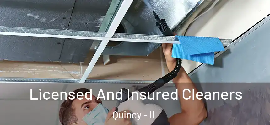  Licensed And Insured Cleaners Quincy - IL