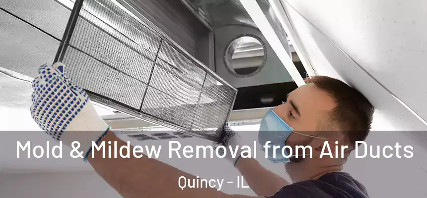 Mold & Mildew Removal from Air Ducts Quincy - IL