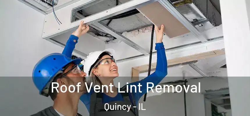 Roof Vent Lint Removal Quincy - IL