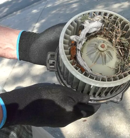 About Air Duct Rat Removal in Quincy, IL