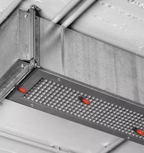 Affordable Insect Removal from Air Ducts in Quincy, IL