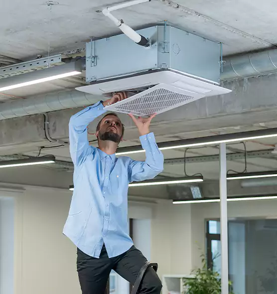 Advanced Rodent Droppings In Vents in Quincy, IL
