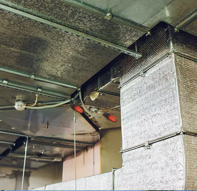 Why Homeowners & Businesses Trust Us in Quincy, IL?