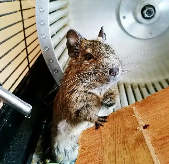 Why Homeowners & Businesses Trust Us Quincy, IL?