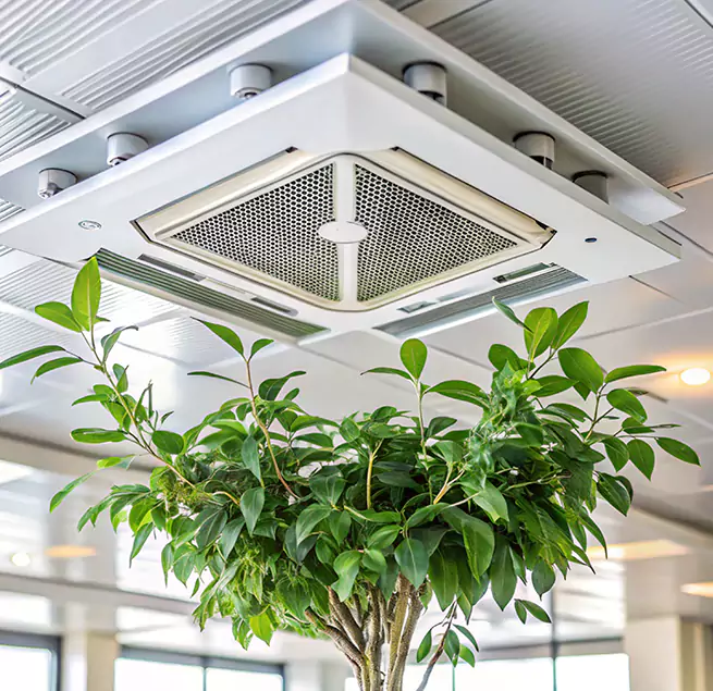 Why Homeowners & Businesses Trust Us in Quincy, IL